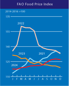 fao-food-price-index-december-2024-1.png