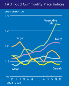 fao-food-price-index-december-2024-2.png