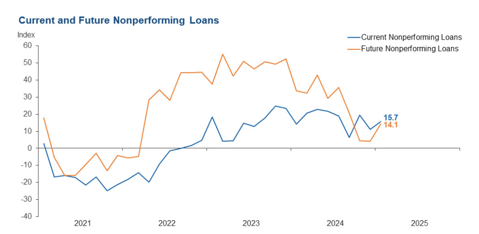 dallas-fed-banking-conditions-survey-febraury-2025-3.png