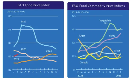 fao-food-price-index-february-2025-1.png