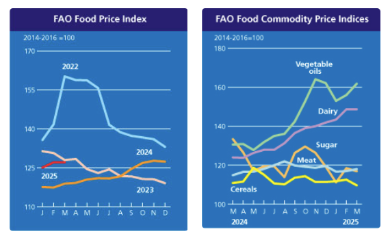fao-food-price-index-march-2025-1.png