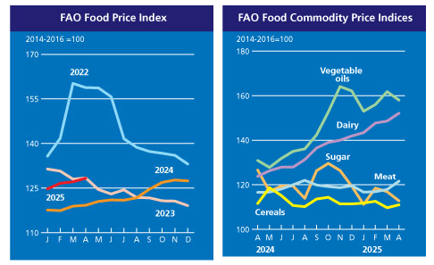 fao-food-price-index-april-2025-1.png