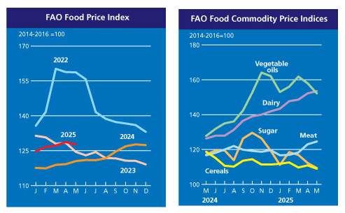 fao-food-price-index-may-2025-1.png