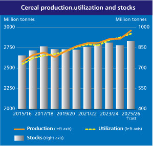 fao-cereal-supply-and-demand-brief-july-2025-1.jpg