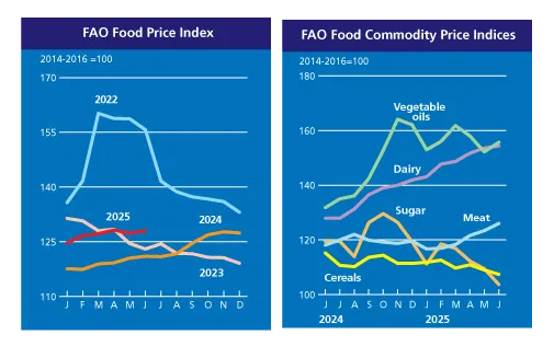 fao-food-price-index-june-2025-1.png