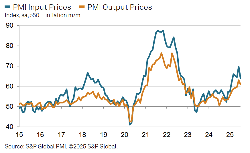 s&p-global-manufacturing-pmis-july-2025-8.png